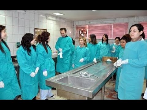 Otopsi Bölümünün Yer Aldığı Üniversite Fakülteleri [2026 Güncel] - Kapak Görseli