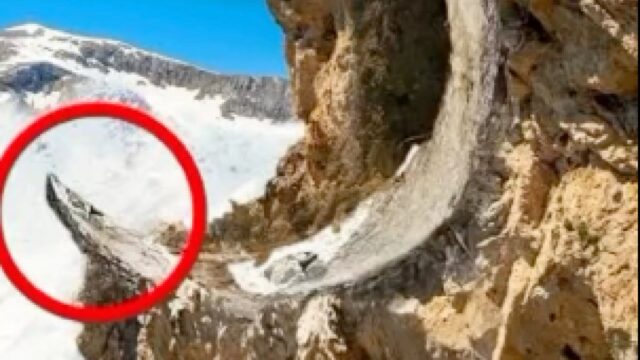 Yıldız Geçidinin Sonundaki Gizemleri ve Çözüm Yolları [2026] - Kapak Görseli
